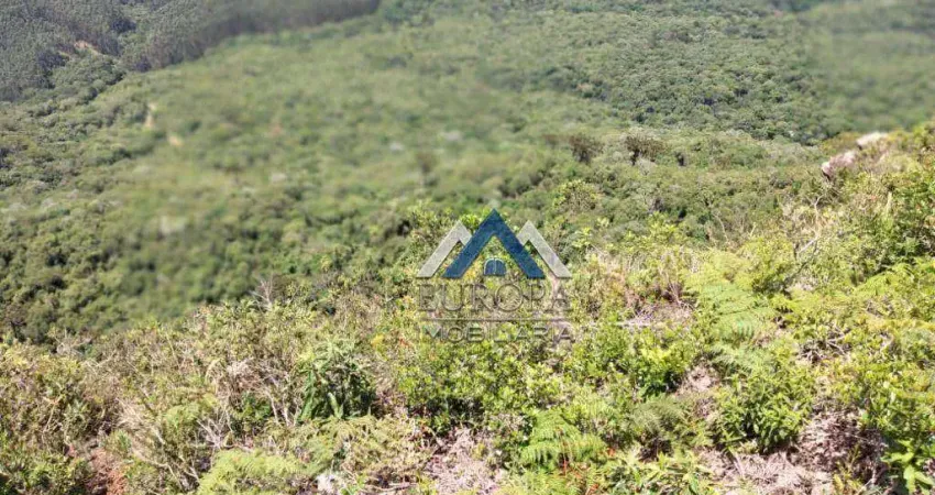 Área à venda, 1306800 m² por R$ 2.160.000,00 - Sítio - Ortigueira/PR