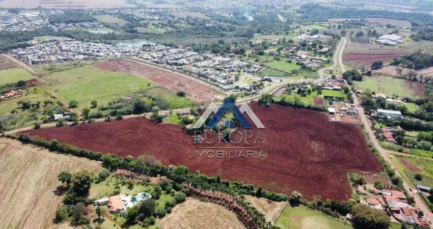Área à venda, 8000 m² por R$ 4.000.000,00 - Gleba Palhano - Londrina/PR