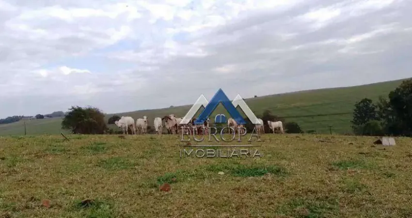 Sítio à venda, 133100 m² por R$ 1.375.000,00 - Zona Rural - Jataizinho/PR