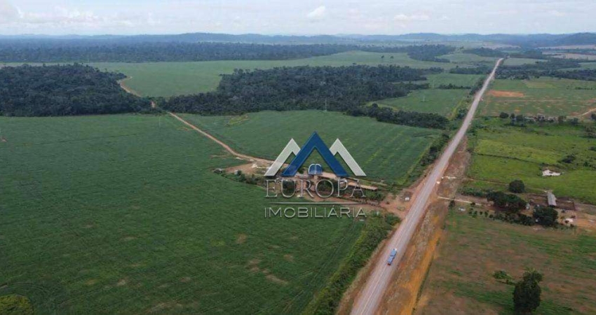 Fazenda com 5 dormitórios à venda, 35700000 m² por R$ 65.000.000,00 - Comércio - Itaituba/PA