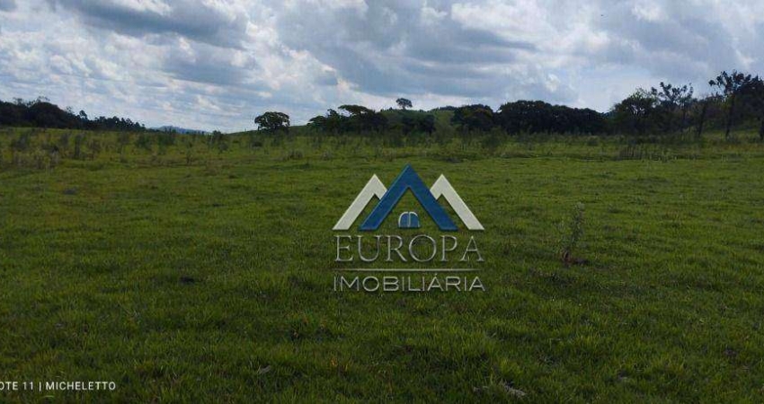 Fazenda com 3 dormitórios à venda, 1113200 m² por R$ 6.100.000,00 - Rural - Jacarezinho/PR
