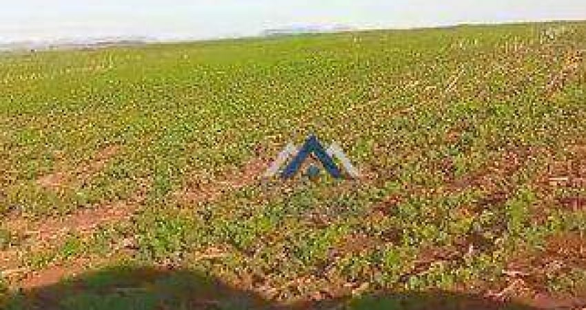 Fazenda à venda, 1210000 m² por R$ 11.500.000,00 - Rural - Bandeirantes/PR