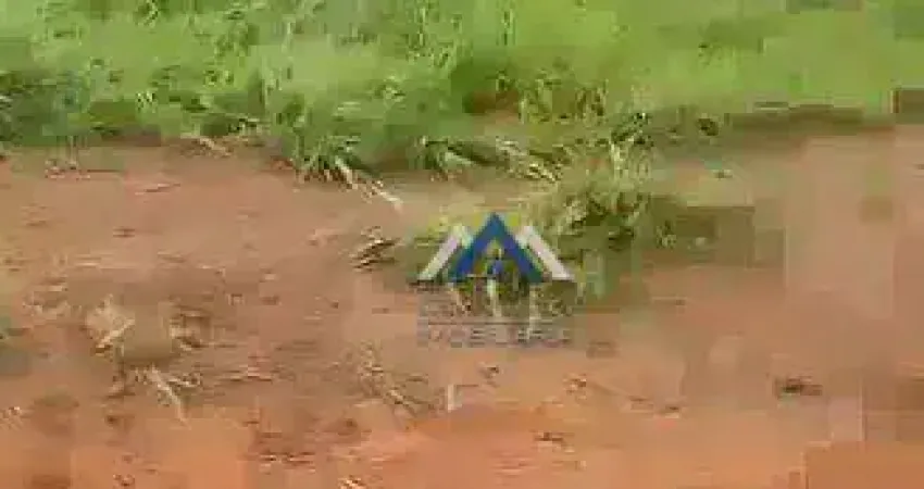 Fazenda com 5 dormitórios à venda, 25000000 m² por R$ 60.000.000,00 - Zona Rural - Rondolândia/MT