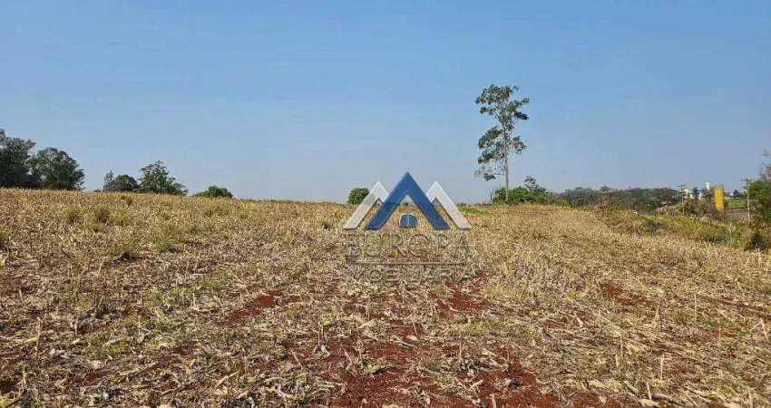 Área à venda, 252648 m² por R$ 5.090.000,00 - Usina 3 Bocas  - Londrina/PR