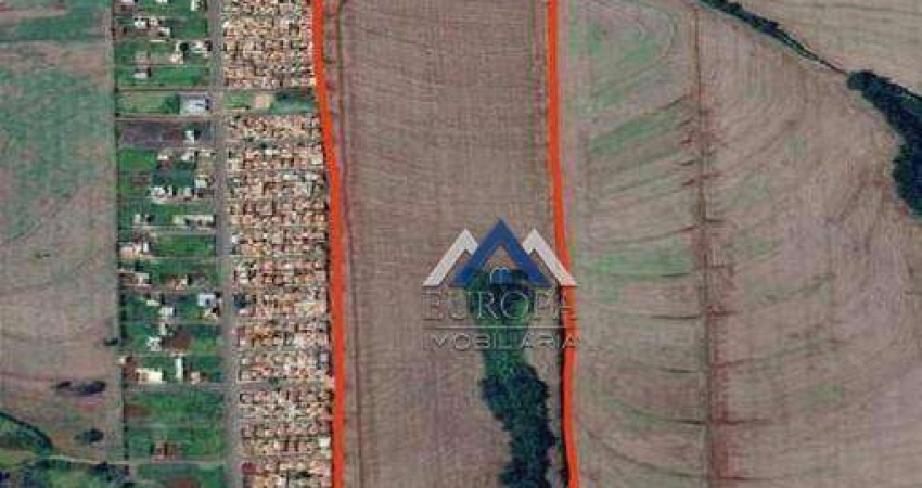 Área à venda, 290400 m² por R$ 15.600.000,00 - Conjunto Palmares - Arapongas/PR