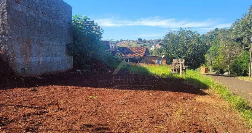 Terreno à venda, 300 m² por R$ 85.000,00 - Jardim Neman Sahyun - Londrina/PR