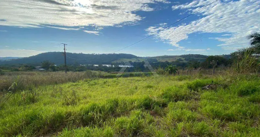 Chácara à venda, 10000 m² por R$ 480.000,00 - Vila Rural - Ibiporã/PR