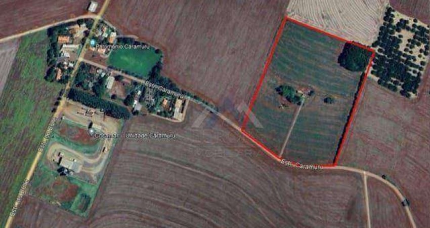 Área à venda, 169400 m² por R$ 7.000.000,00 - Centro - Cambé/PR