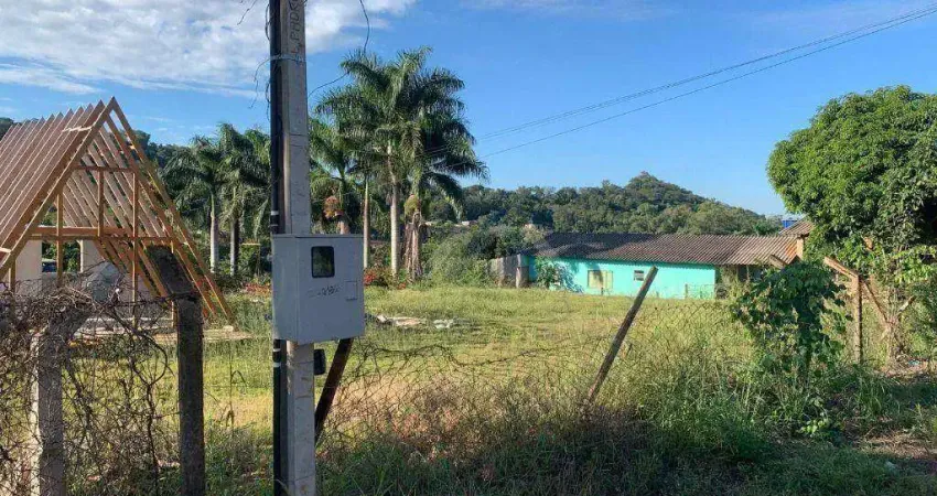 Chácara com 1 dormitório à venda, 1000 m² por R$ 300.000,00 - Usina Três Bocas - Londrina/PR