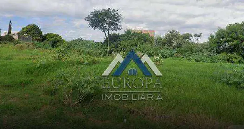 Área à venda, 5017 m² por R$ 5.200.000,00 - Centro - Cambé/PR