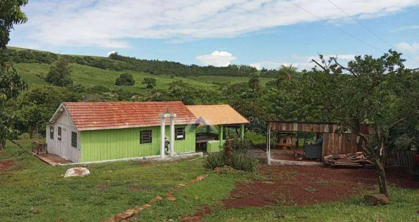 Sítio à venda, 96800 m² por r$ 1.250.000,00 - rural - primeiro de maio/pr