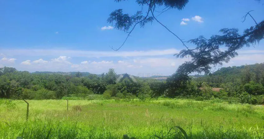 Chácara à venda, 4894 m² por r$ 450.000,00 - selva - londrina/pr