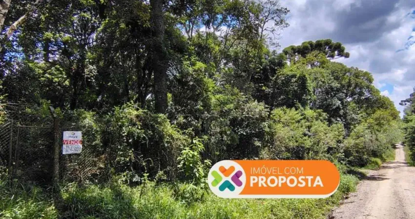 Terreno à venda na Rua Júlia Alves de Almeida, Planta Granjas Eldorado, Piraquara