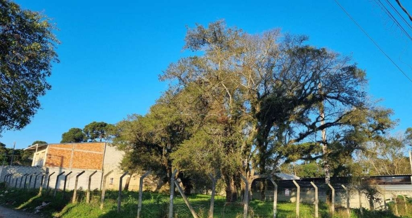 Terreno à venda na Henrique Toni, Jardim Guarituba, Piraquara