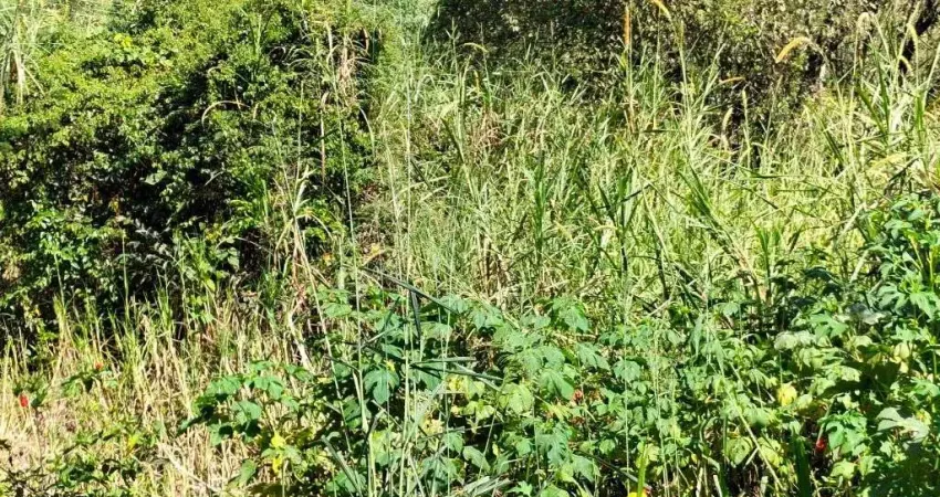 Área à venda, 23833 m² por r$ 2.500.000 - jardim colonial - atibaia/sp