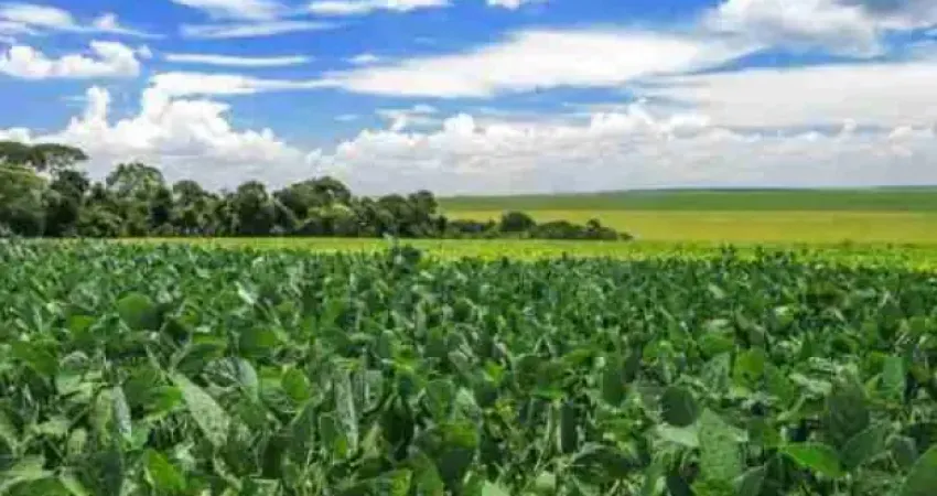 Fazenda à venda na Zona Rural, Ivaiporã 