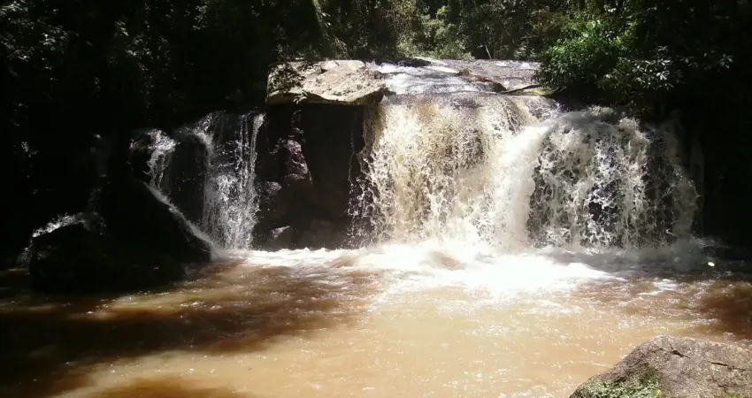 Chácara / sítio à venda no Centro, Ponta Grossa