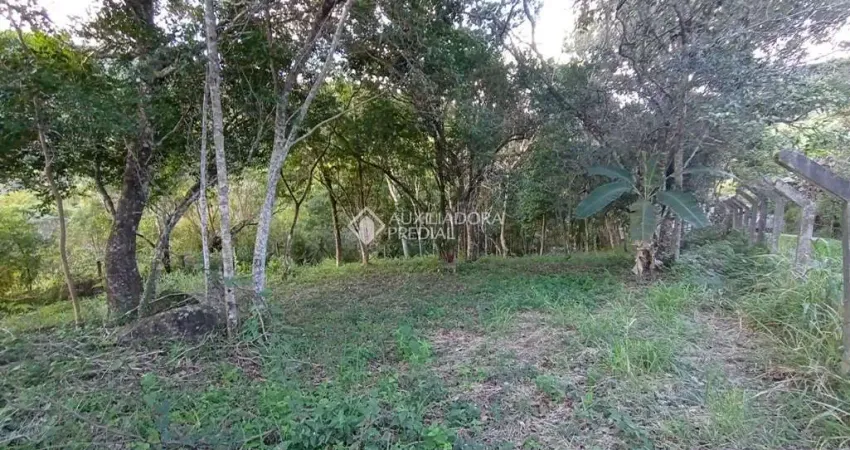 Terreno à venda na das Gralhas, 0000, Vargem Grande, Florianópolis