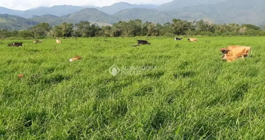 Fazenda à venda na Inácio Fernandes, 0123, Penha, Paulo Lopes
