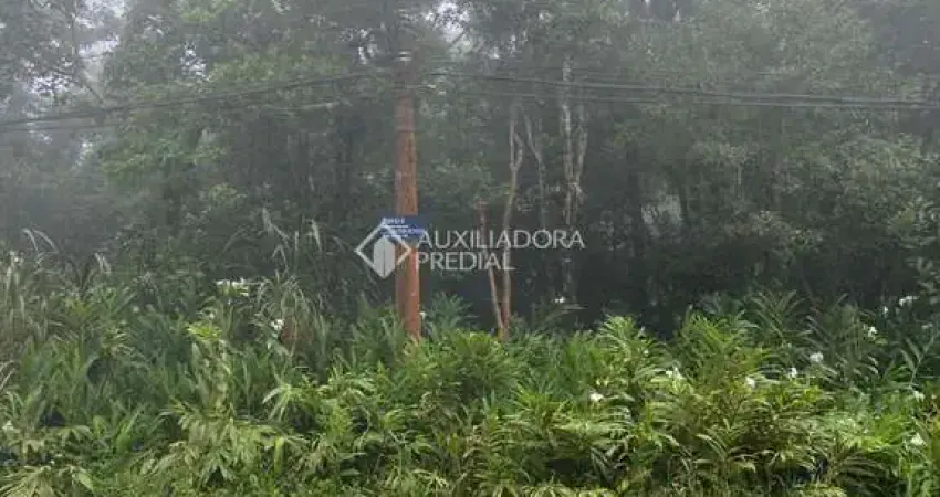 Terreno em condomínio fechado à venda na Genciana, 1, Jardim Clube de Campo, Santo André