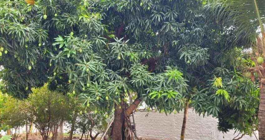 Terreno à venda, 360 m² por R$ 300.000,00 - Ribeirão da Ponte - Cuiabá/MT