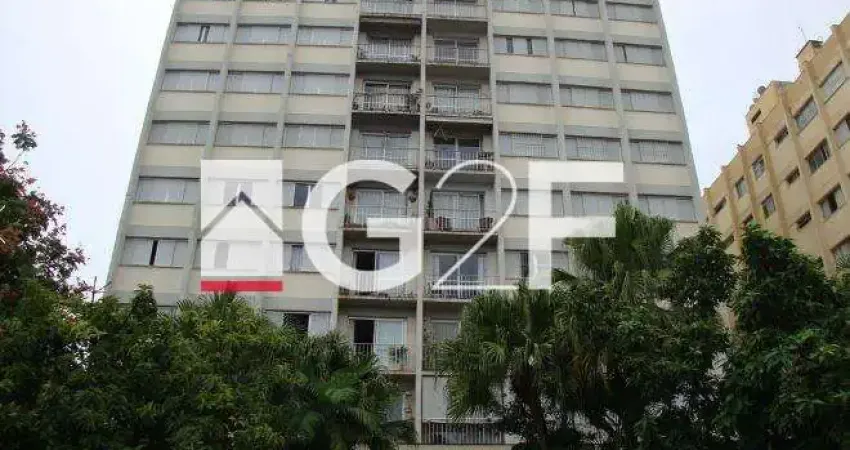 Apartamento com 3 quartos à venda na Rua Quirino do Amaral Campos, 75, Cambuí, Campinas