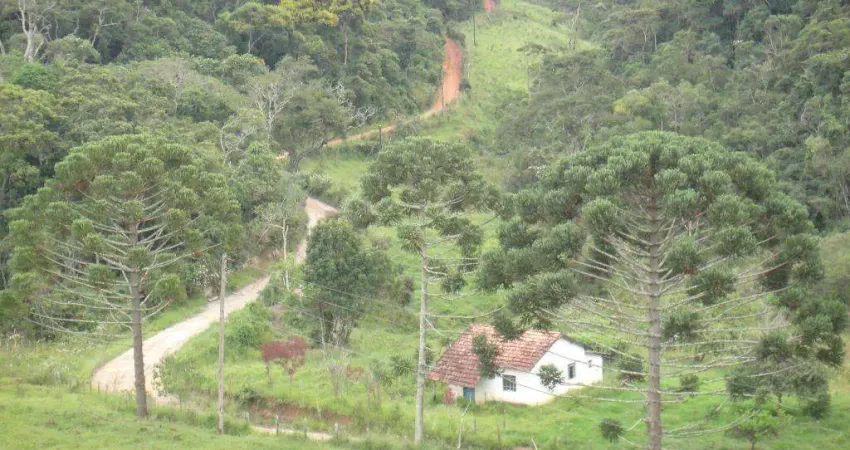 Fazenda à venda na Barão de Bocaina, S/N, Centro, Lorena