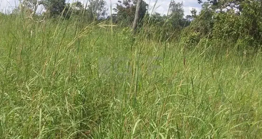 Fazenda à venda na Lagoa do Tocantis, 1, Setor Central, Lagoa do Tocantins