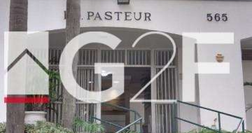 Sala comercial para alugar na Rua Padre Almeida, 565, Cambuí, Campinas