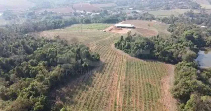 Fazenda à venda na Rua Vicinal Oscar Pereira Dias, S/N, Jardim Córrego Bonito, Santo Antônio de Posse