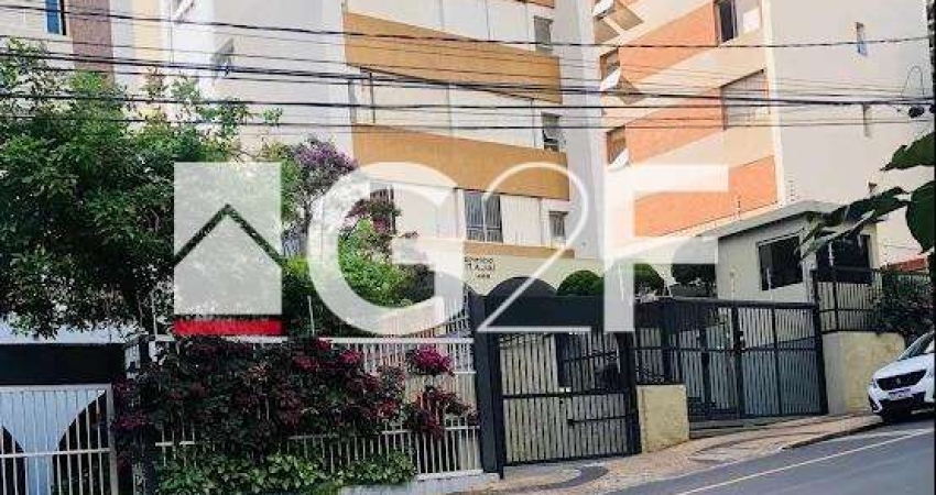Apartamento com 1 quarto à venda no Centro, Campinas 