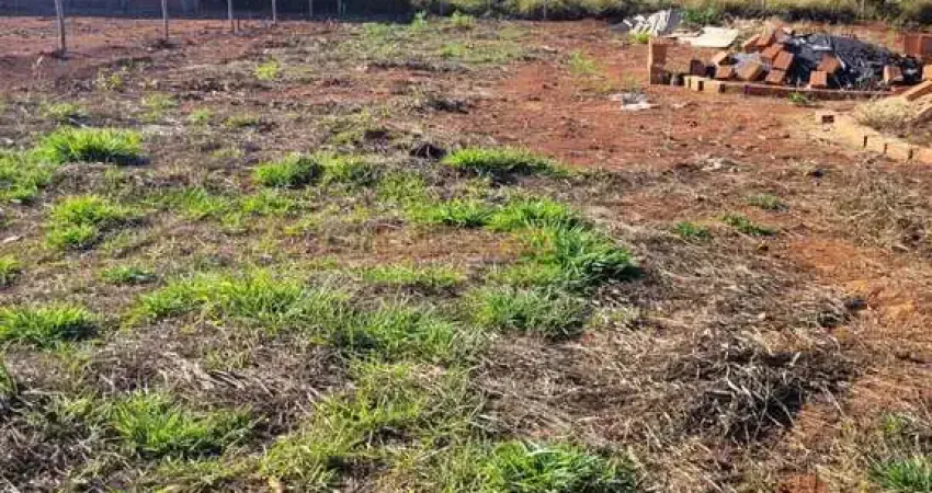 Terreno à venda na Praça Gaioso Neves, Paineiras, Araguari