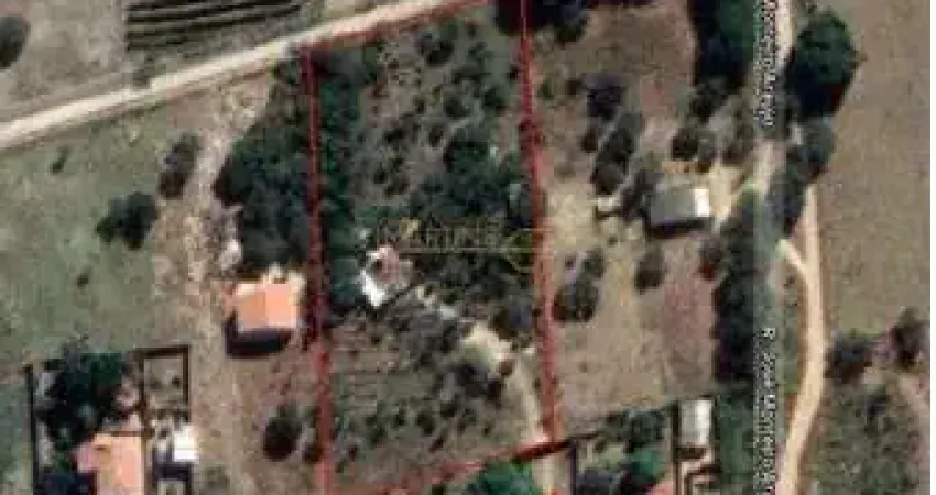 Área Comercial para Venda, Araguari / MG, bairro VIENO, terreno 5.000 m²