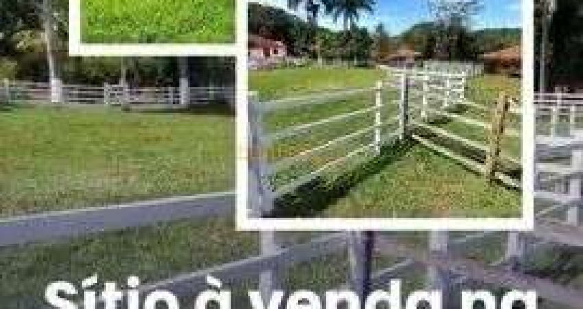 Sítio à venda no bairro Área Rural de Araguari - Araguari/MG