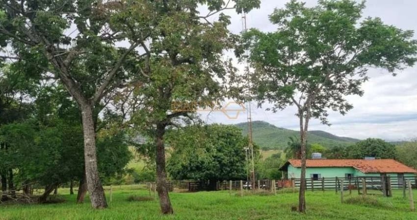 Fazenda à venda no Centro, Uberlândia 