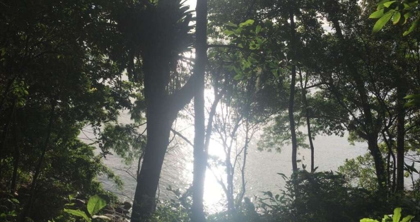 Terreno à venda no bairro Sambaqui - Florianópolis/SC