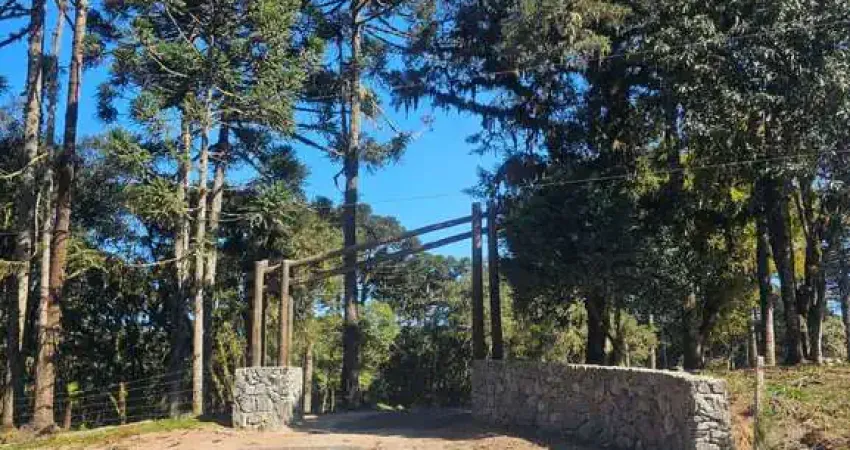 Terreno à venda no Bateias de Cima, Campo Alegre 