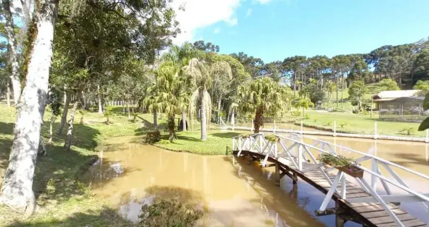 Chácara / sítio com 3 quartos à venda na Avenquinha, Campo Alegre 