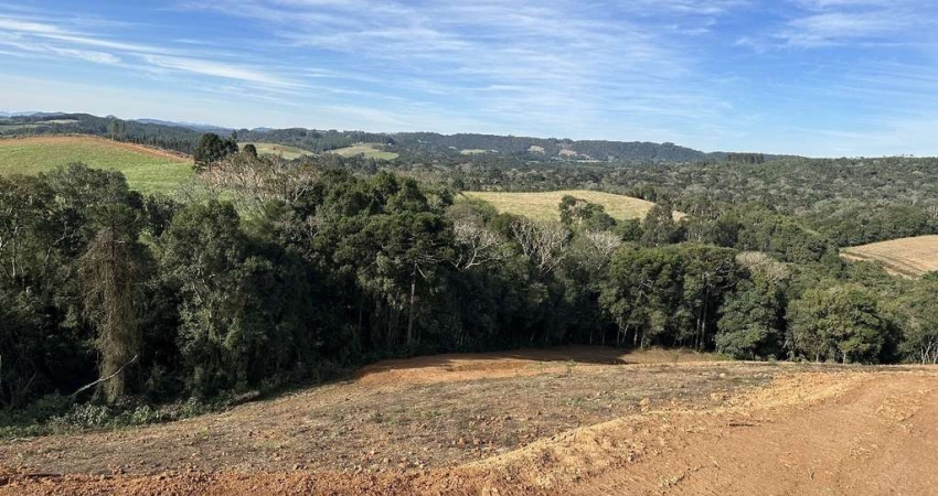 Terreno à venda em Fragosos, Campo Alegre 