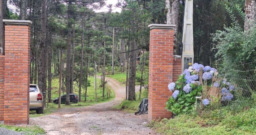 Chácara / sítio com 3 quartos à venda no Lageado, Campo Alegre 