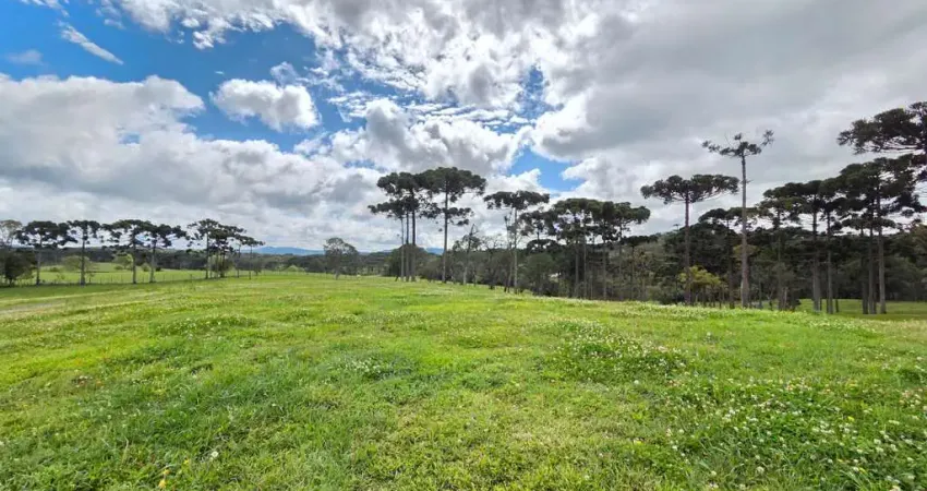 Terreno em condomínio fechado à venda no Faxinal, Campo Alegre 