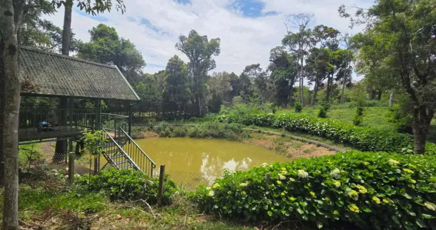 Terreno à venda no Campestre, Campo Alegre