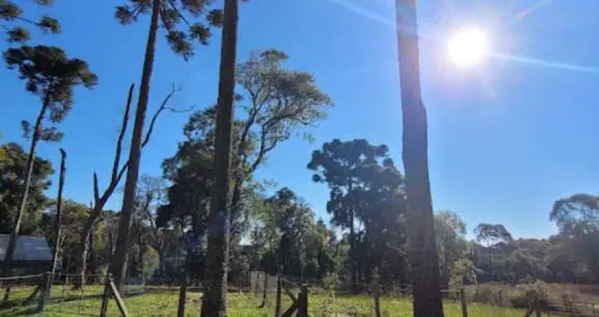 Terreno à venda no Campestre, Campo Alegre