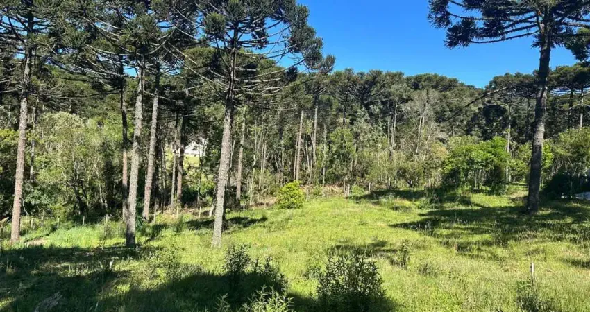 Terreno à venda na Cascatas, Campo Alegre