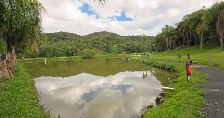 Chácara / sítio com 4 quartos à venda na Área Rural, Joinville