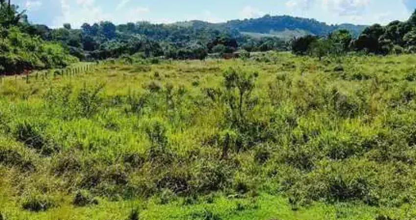 Fazenda para Venda em Rio Bonito, Sambé, 2 dormitórios, 1 banheiro