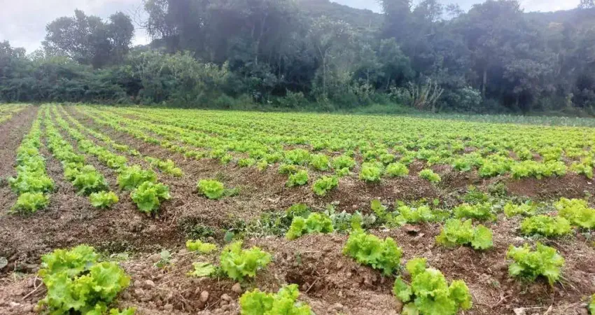 Sítio para Venda em Nova Friburgo, Conquista, 2 dormitórios, 1 suíte, 1 banheiro