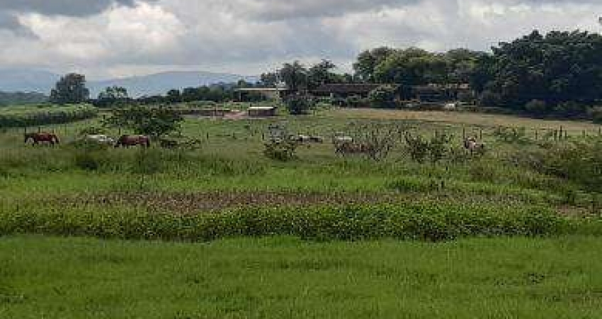 Sítio para Venda em Itaboraí, Itapacorá, 2 dormitórios, 1 banheiro, 1 vaga