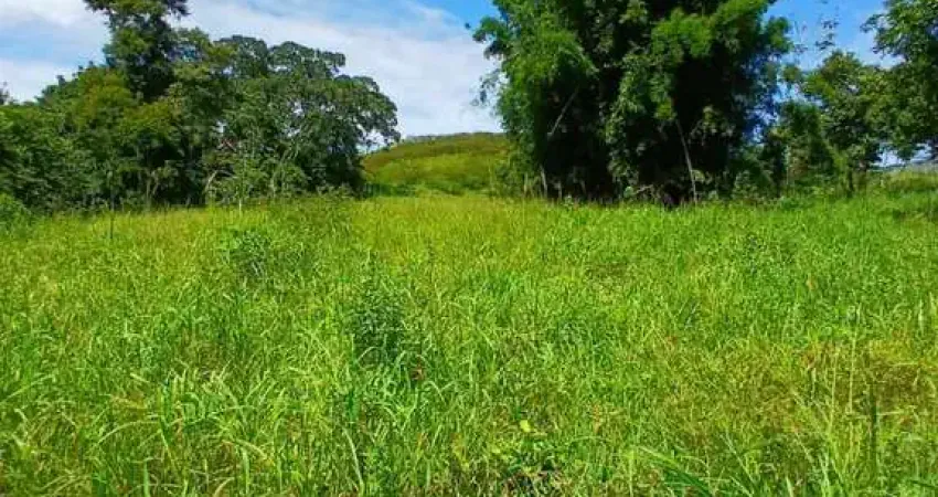 Sítio para Venda em Rio Bonito, Braçanã, 2 dormitórios, 1 banheiro, 1 vaga