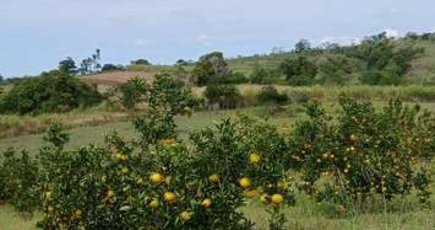Sítio para Venda em Araruama, São Vicente de Paula, 3 dormitórios, 1 banheiro